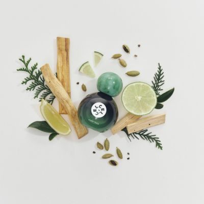CEL-CEL POWDERY MUSK・WOODY TOUCH ポストカード ポストカード〔アート タッチ〕pampeliška 花柄｜タッチ