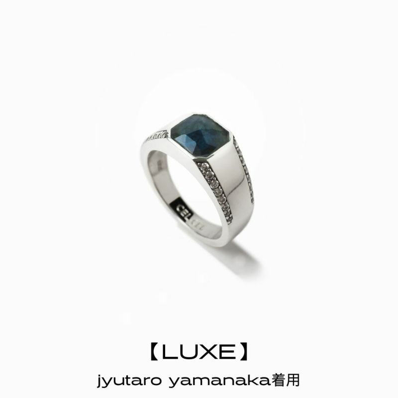オリジナルデザインの黒い結晶リング 希少石!】ブラックスターダイオプサイトリング サイズ12号